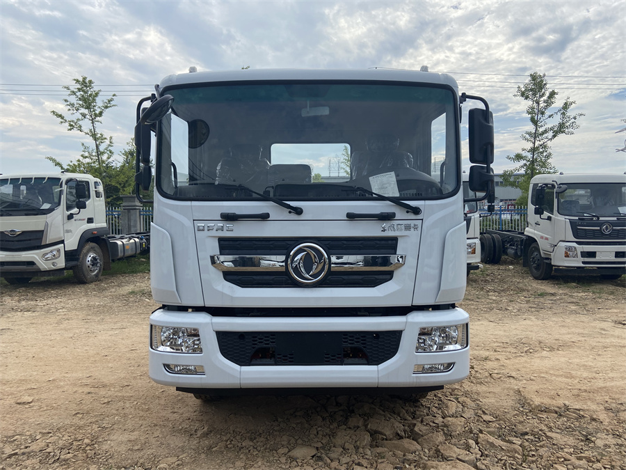 東風D9（3950，康明斯230）國六 內飾照片圖